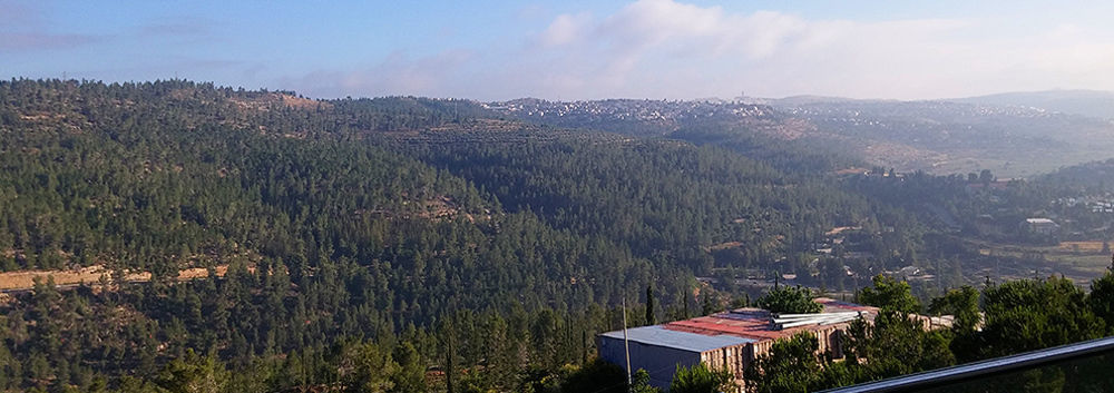 Ein Kerem Hotel Jerozolima Zewnętrze zdjęcie