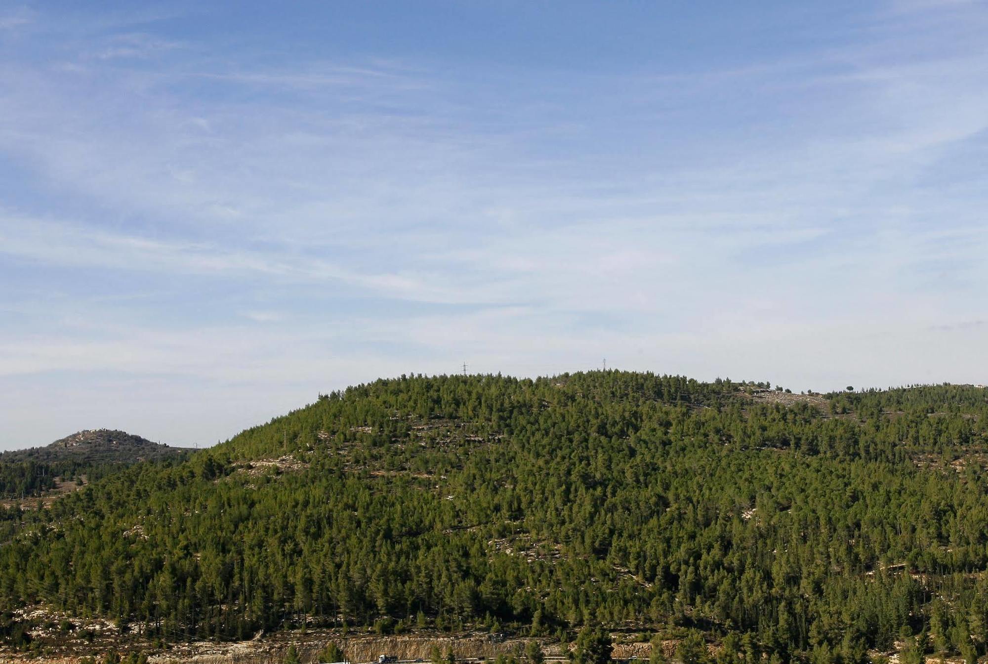 Ein Kerem Hotel Jerozolima Zewnętrze zdjęcie